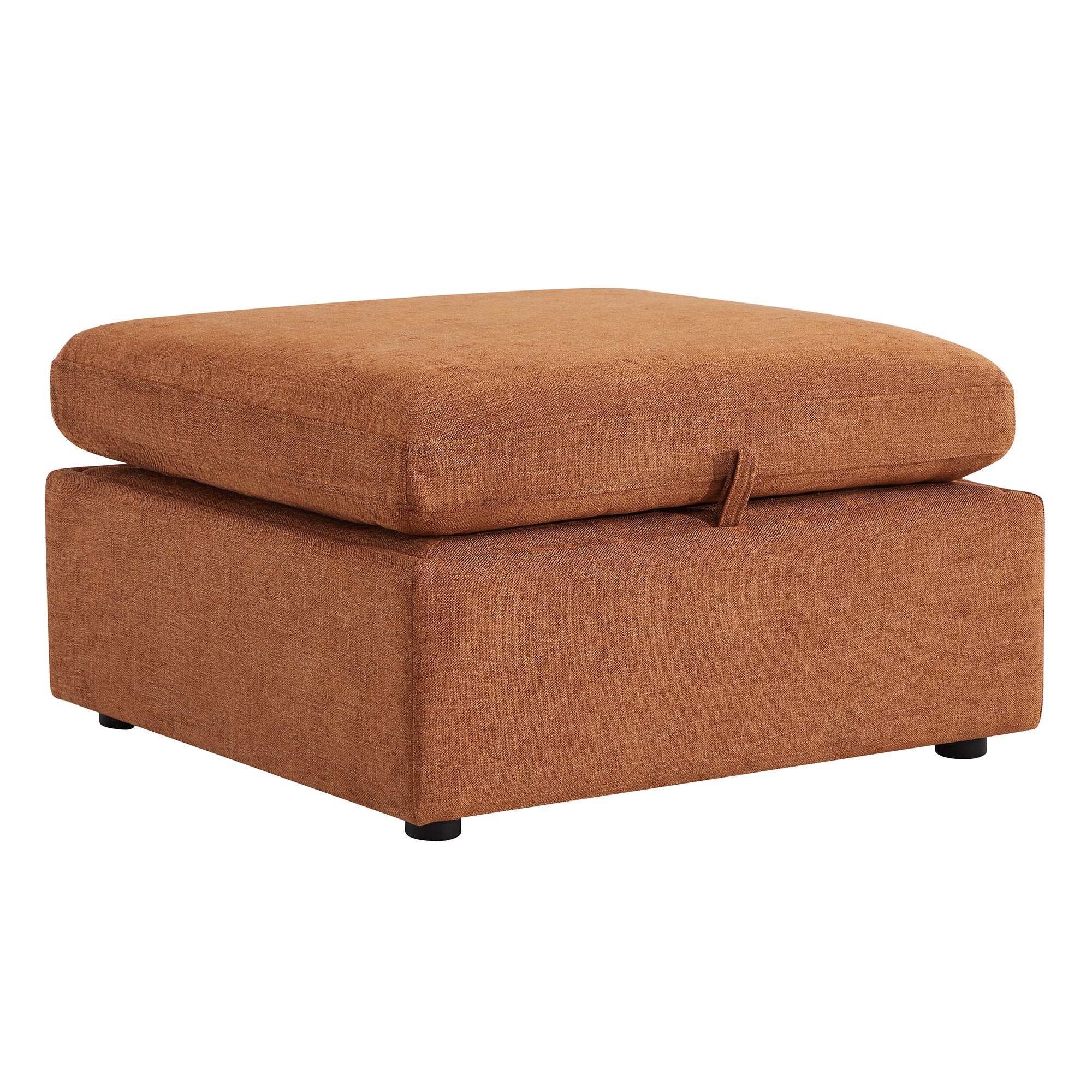 Delaney Storage Ottoman