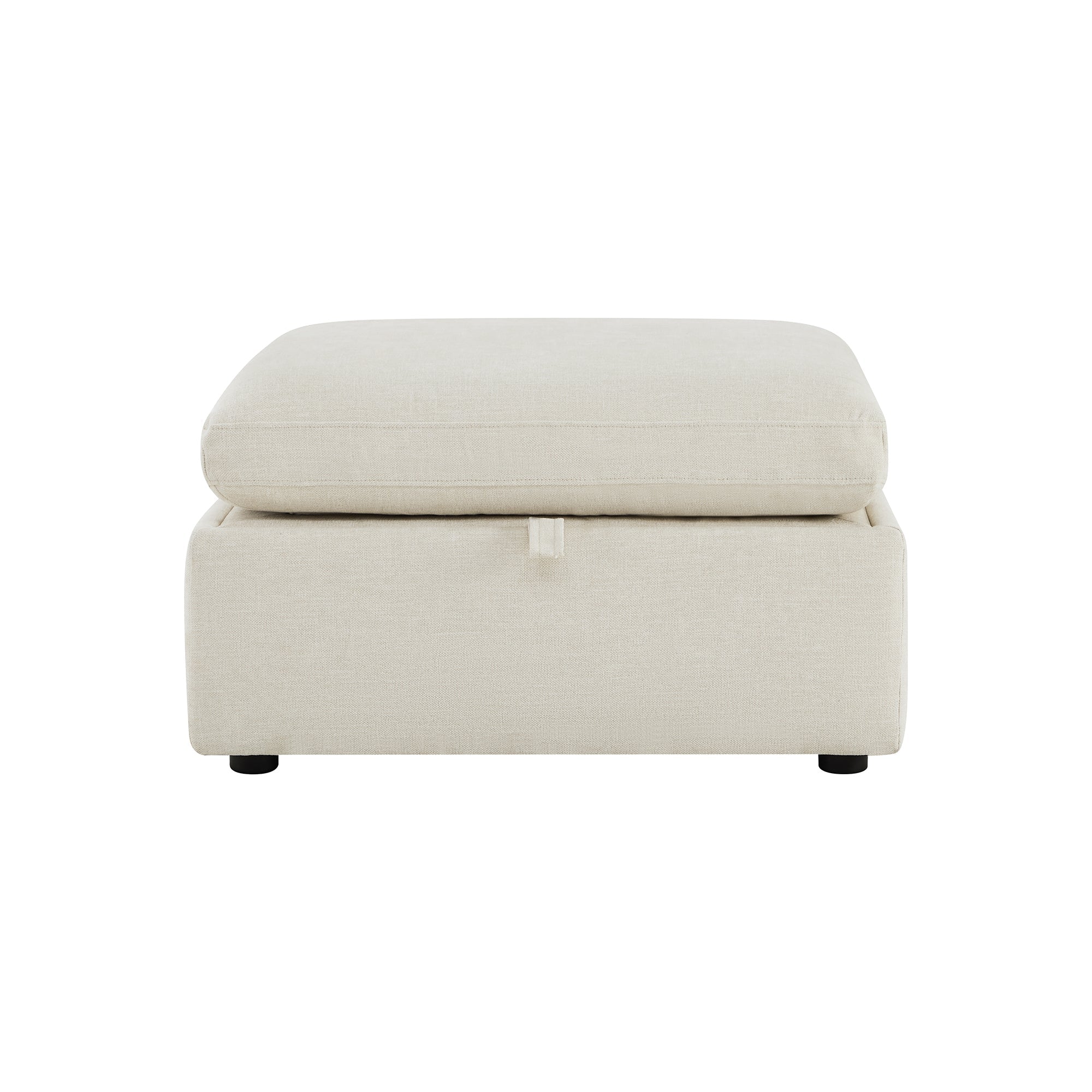 Delaney Storage Ottoman