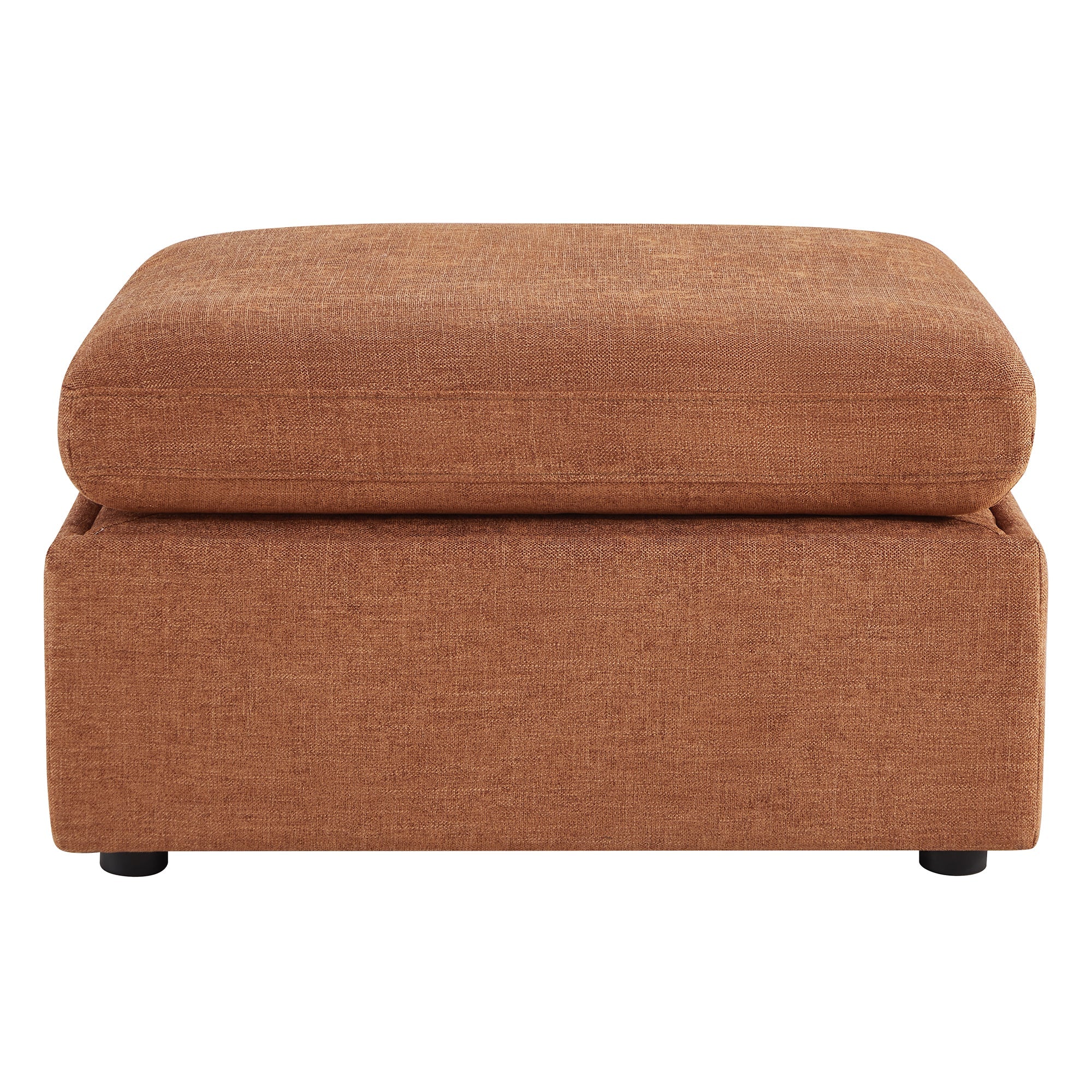 Delaney Storage Ottoman