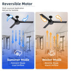 52 inch Modern Solid Wood / ABS Ceiling Fan With Remote Control(No Light),6 WInd Speed,Reversible Airflow