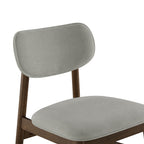 Alfred Modern Dining Chair (Set of 2)