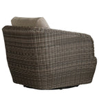 Liana Wicker Outdoor Swivel Accent Chair
