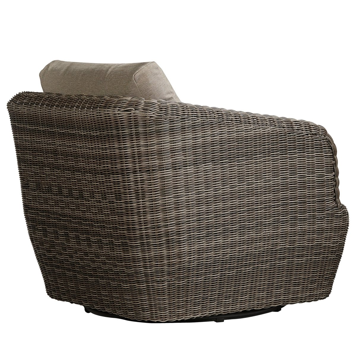 Liana Wicker Outdoor Swivel Accent Chair