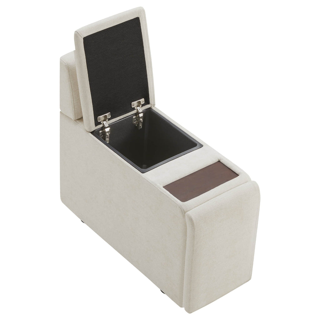 Delaney Power Functional Storage Console