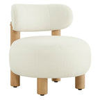 Shauna Modern Plush Faux Sherpa Accent Chair