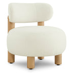 Shauna Modern Plush Faux Sherpa Accent Chair