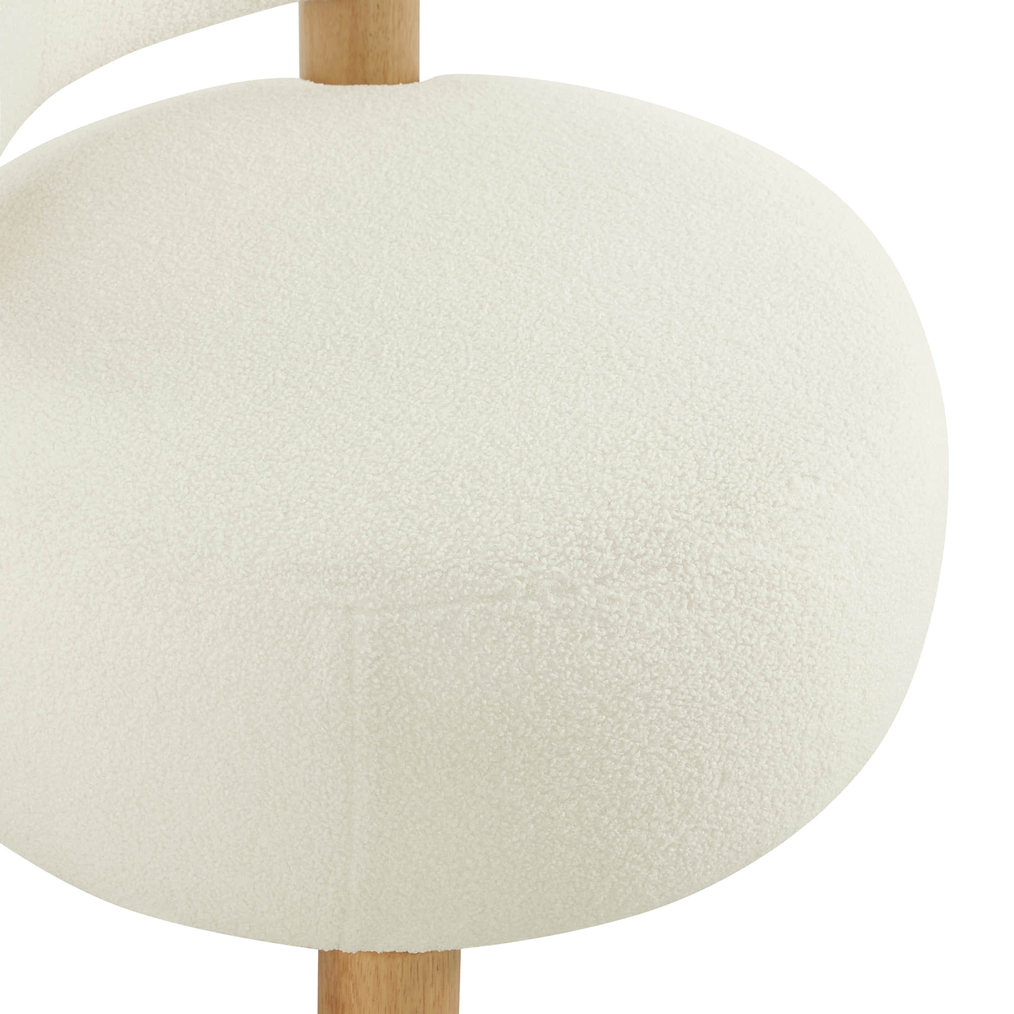 Shauna Modern Plush Faux Sherpa Accent Chair