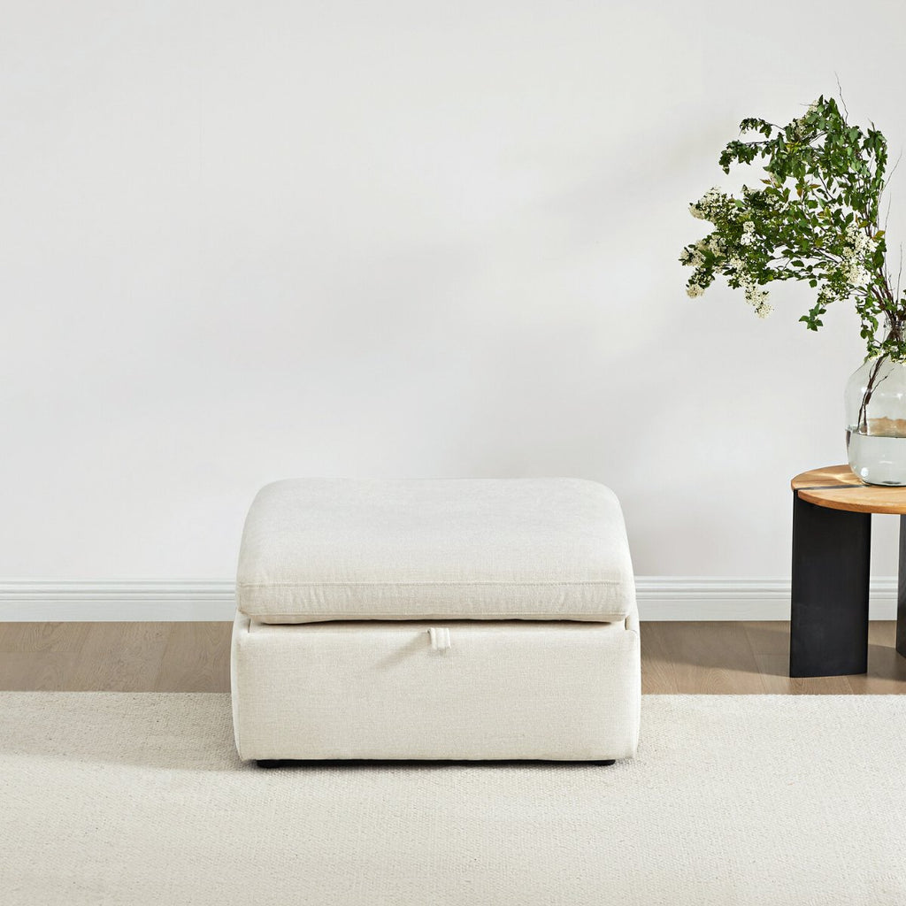 Delaney Storage Ottoman