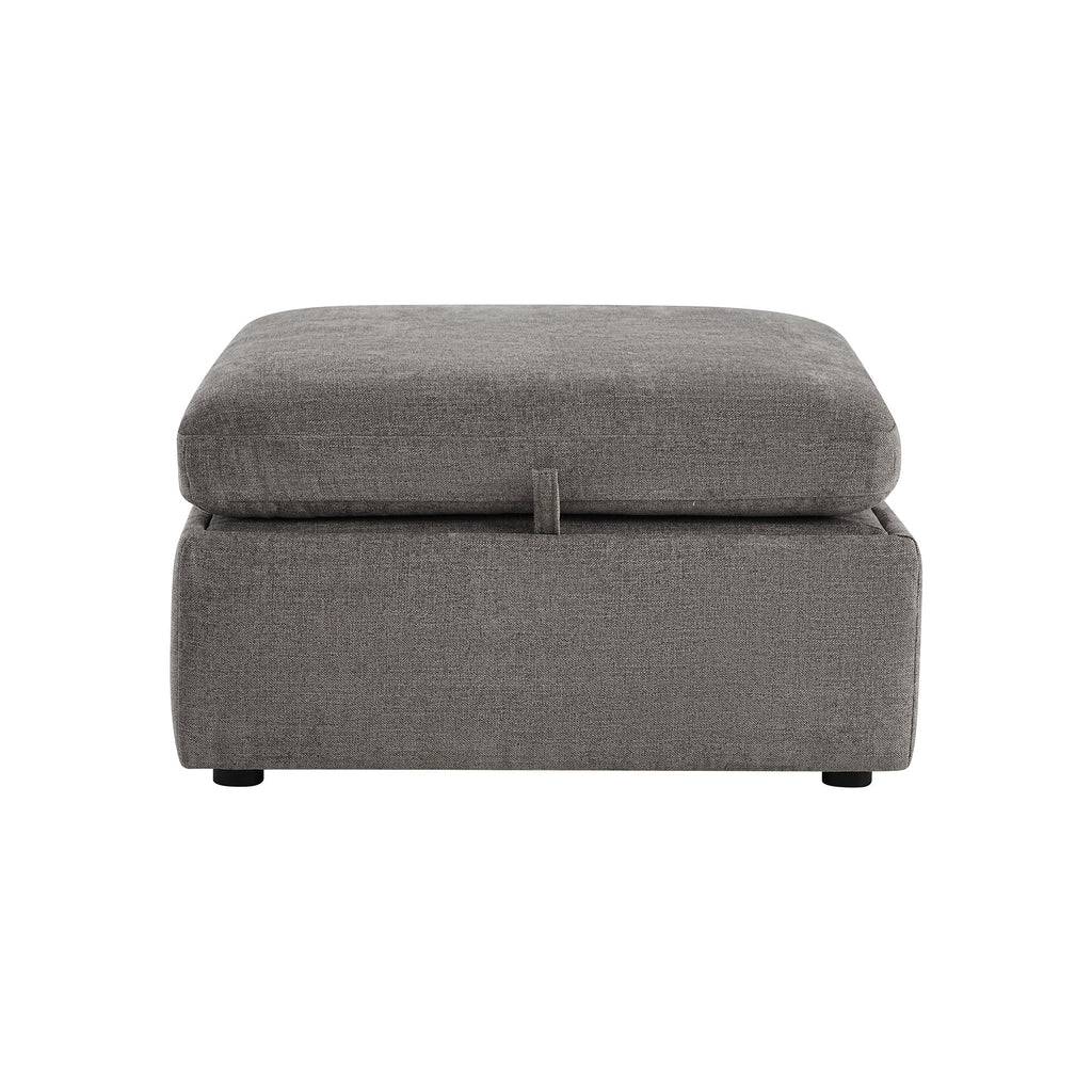 Delaney Storage Ottoman