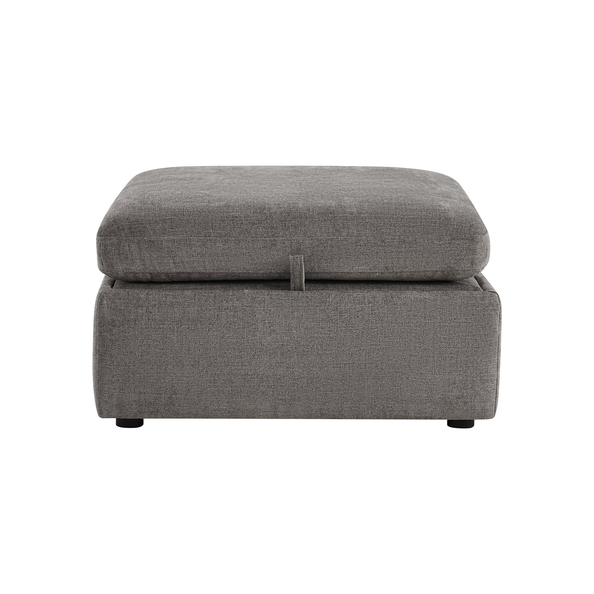 Delaney Storage Ottoman