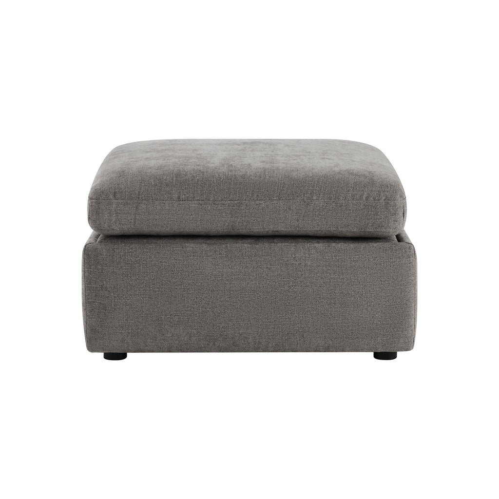 Delaney Storage Ottoman