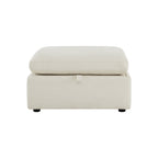 Delaney Storage Ottoman