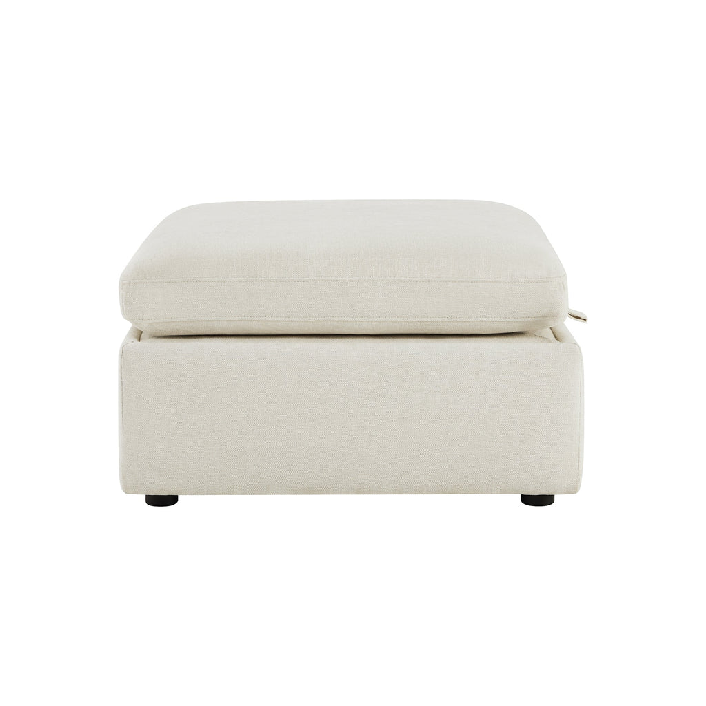 Delaney Storage Ottoman