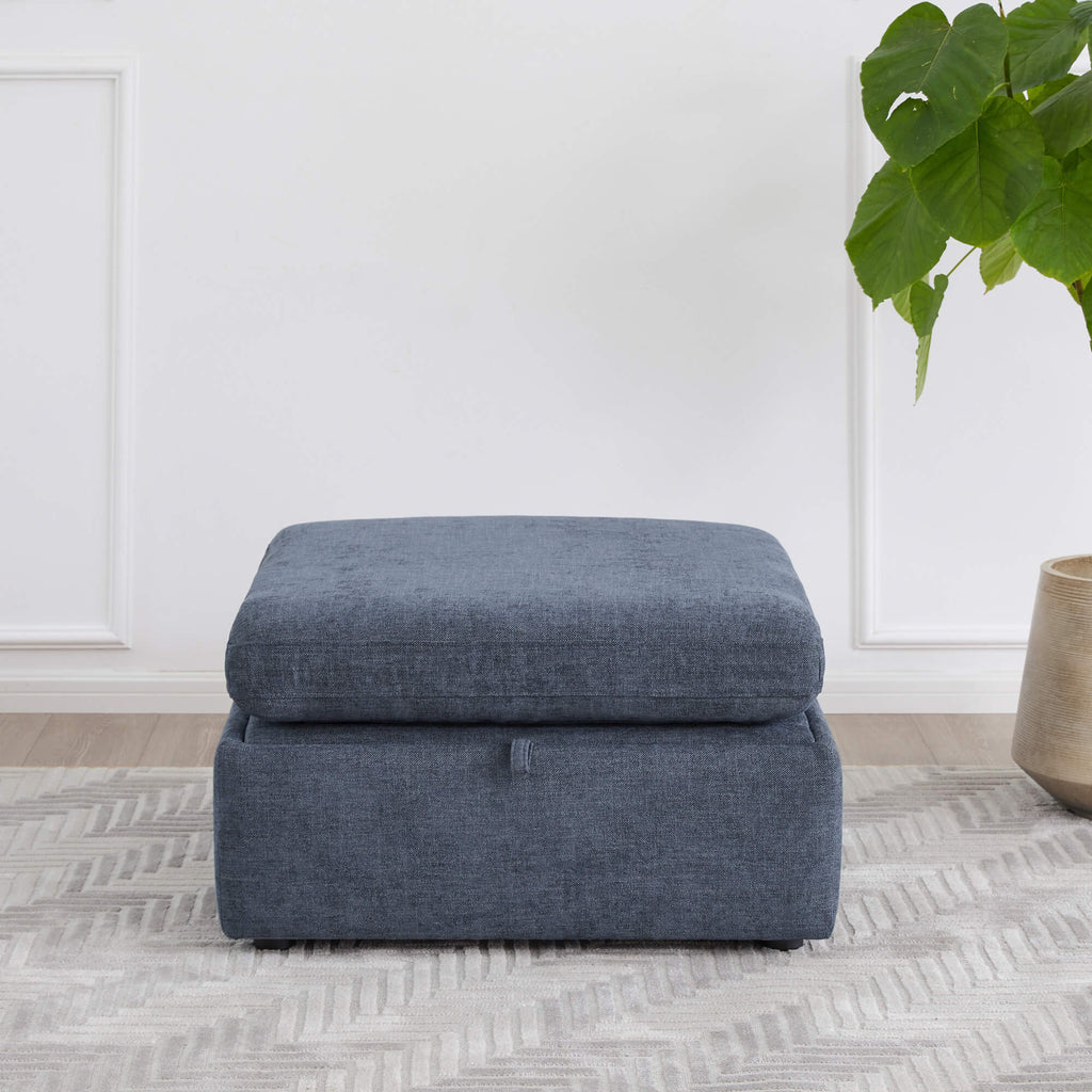 Delaney Storage Ottoman
