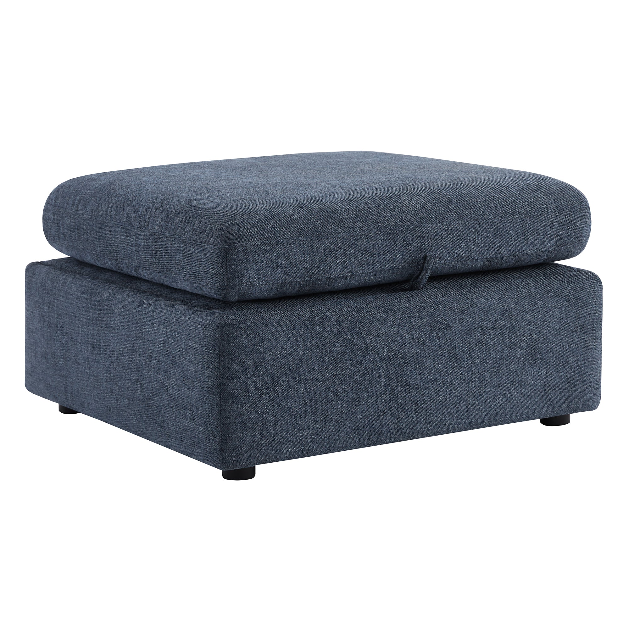 Delaney Storage Ottoman