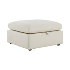 Delaney Storage Ottoman