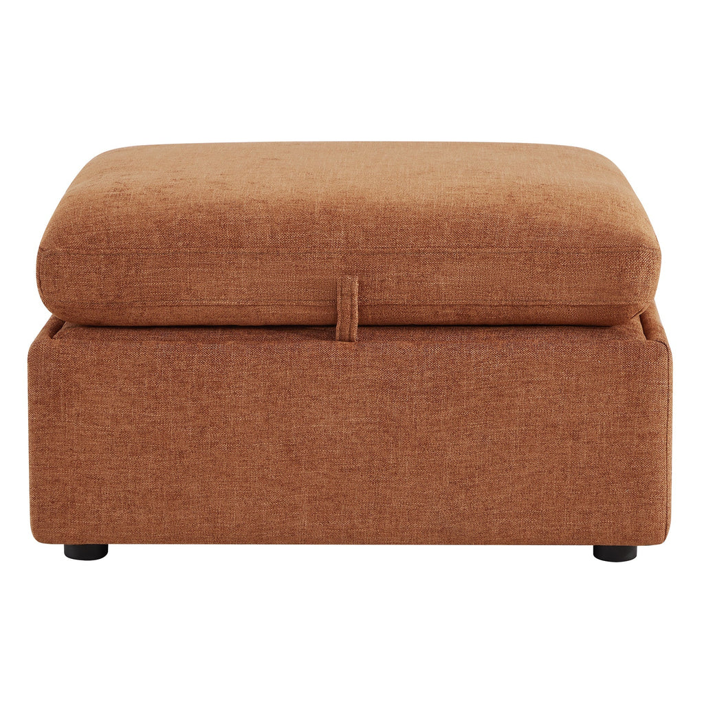 Delaney Storage Ottoman