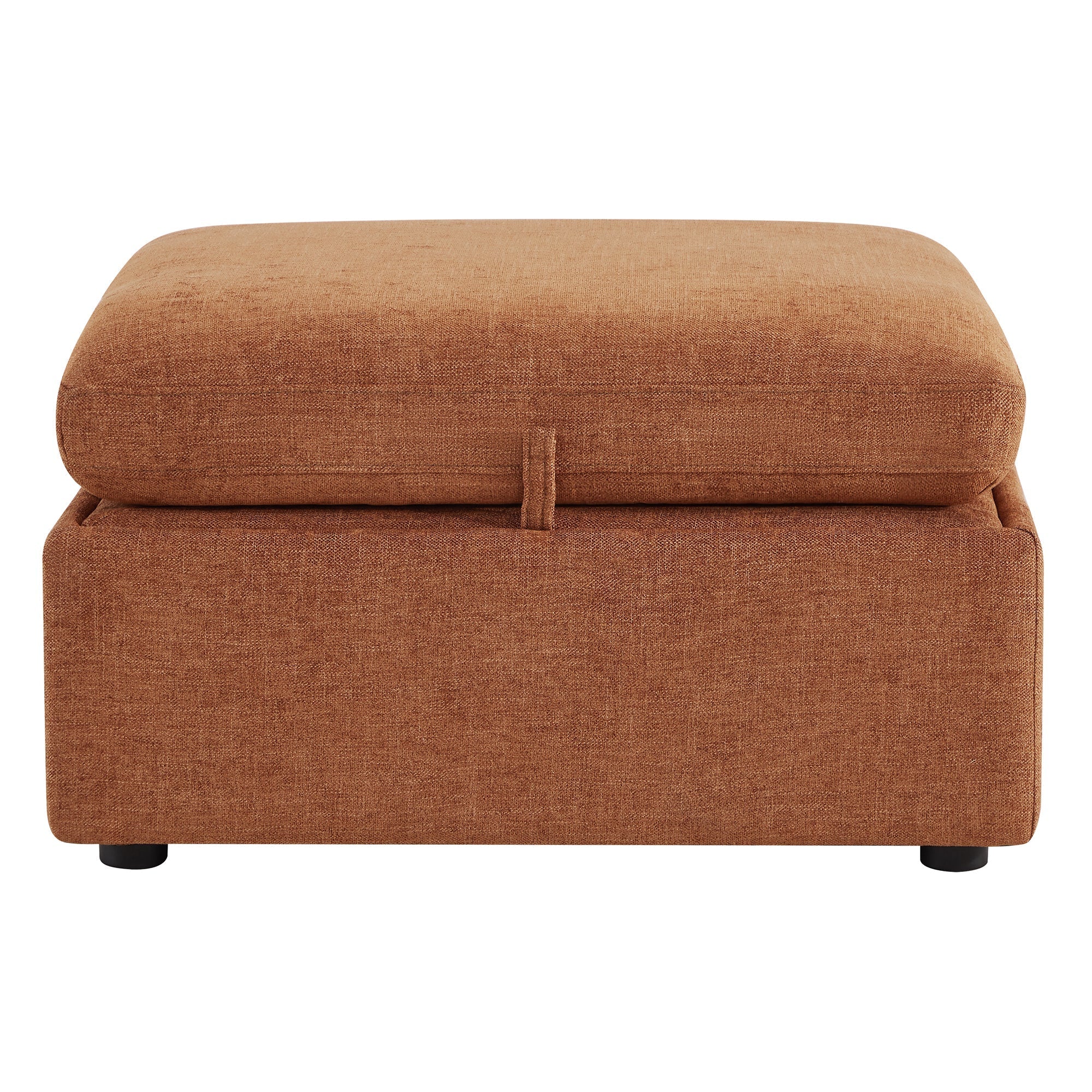 Delaney Storage Ottoman